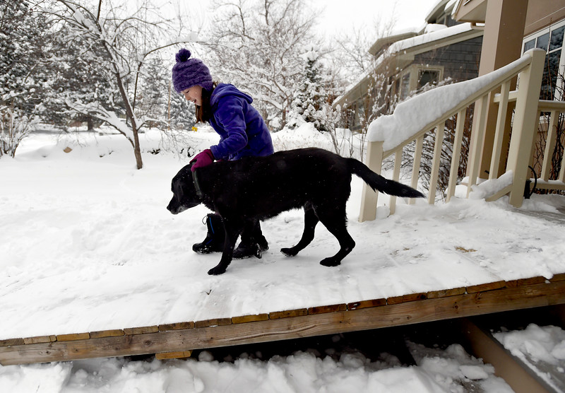 Mailman does the sweetest thing for a senior dog on his route