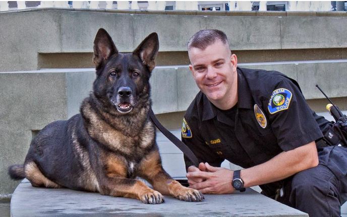 A police dog was shot in the head while chasing a suspect — now his partner sees him again