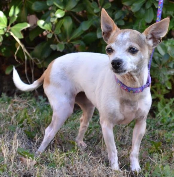 Baby Girl Has Been Waiting Since 2013 for a Forever Family! Won’t Someone Bring Her Home?!