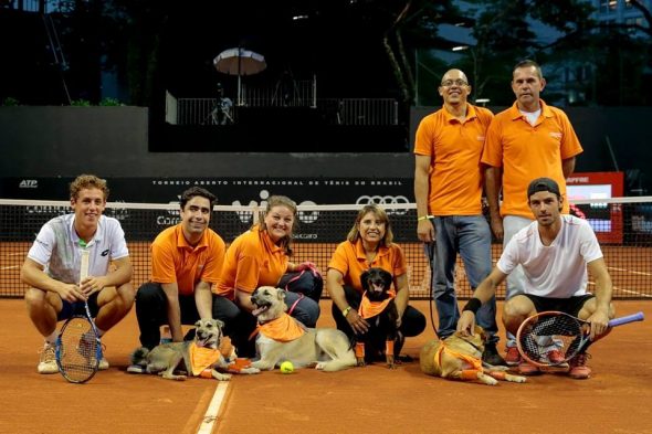 Rescue Dogs to Be Taking Over Ball Boy Duties at Tennis Tournament