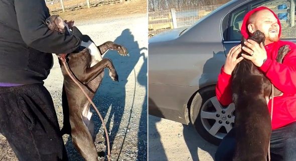 Dog Just Moments from Execution Reunited With the Family Who Never Even Knew He Was Missing
