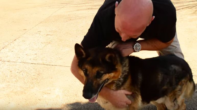 Through the gate is the dog he hasn’t seen in 2 years. Now watch when he’s unleashed…