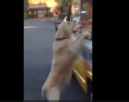 He yells that the ice cream man is outside, then he hands his dog a container