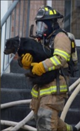 Woman Goes to Fire Station to Personally Thank Firefighter Who Saved Her Dog’s Life