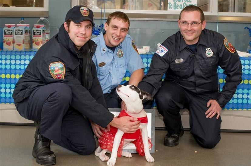 Firefighters Save Puppy From Burning Home. Months Later, They Return For A Touching Reunion