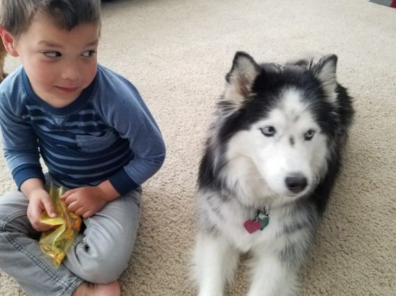Child’s Act Of Kindness Inspires Others To Pay It Forward For Shelter Dogs