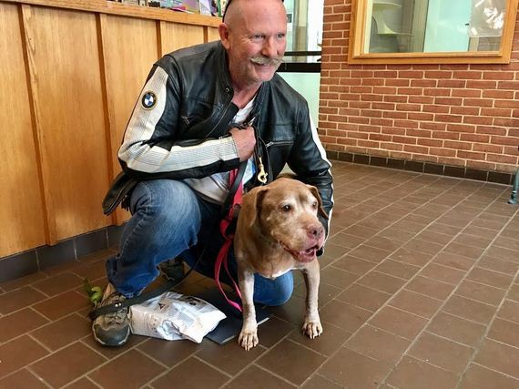 18-Year-Old Shelter Dog Finally Finds The Perfect Dad