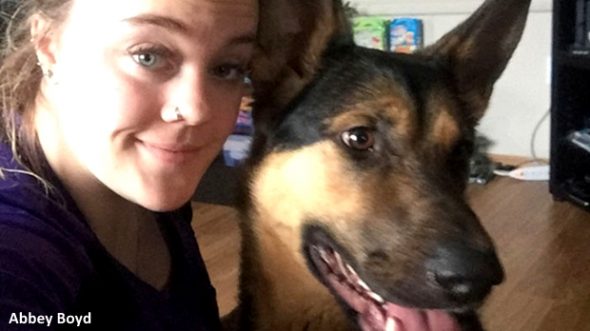 Dog Falls in Love With an SPCA Worker, Escapes, and Follows Her Home