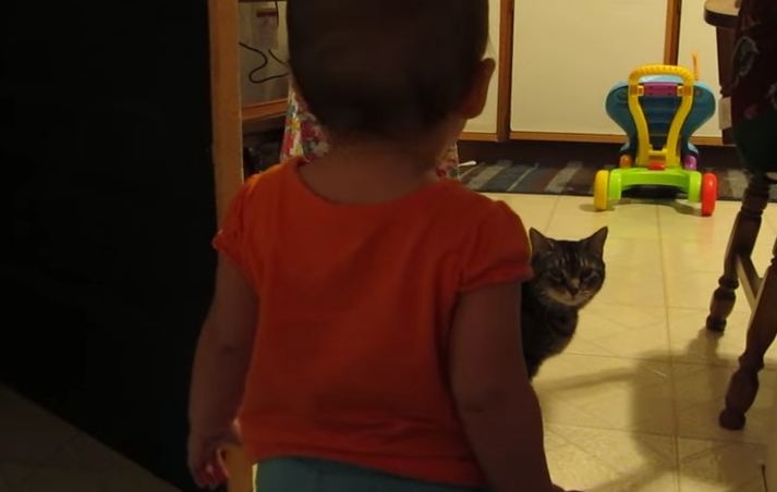 Dad captures the morning routine between his daughter and cat—and it’s too adorable