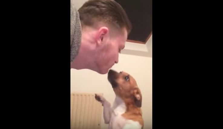 Jealous Dog Wants ALL of the Kisses, and Gets Mad When Someone Refuses Him
