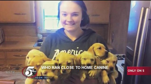 65 Dogs Have Been Saved from a Woman Running “Rescue” Operation in Minnesota