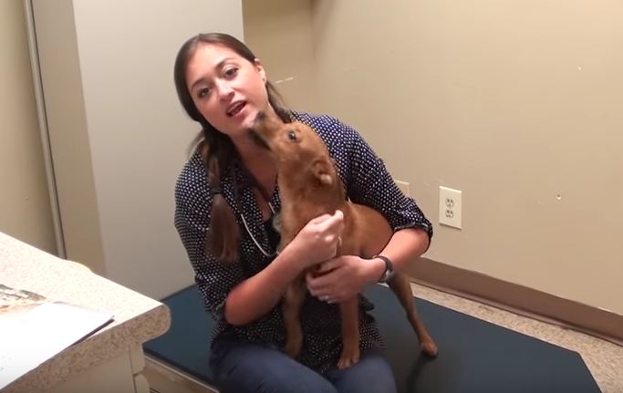 She can’t stand, sit or walk. But wait until you see her at the end…