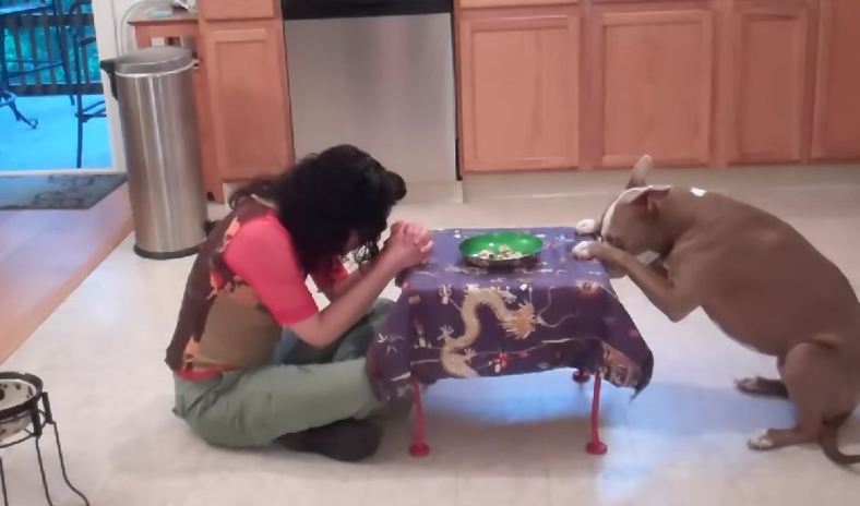 When she tells her dog that she doesn’t feel well? Amazing reaction!