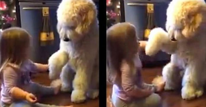Mom Who’s Recording, Suddenly Hears Toddler Teaching Dog How To Be Polite!