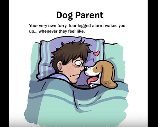 Dog Lover VS. Dog Parent, Which One Are You?