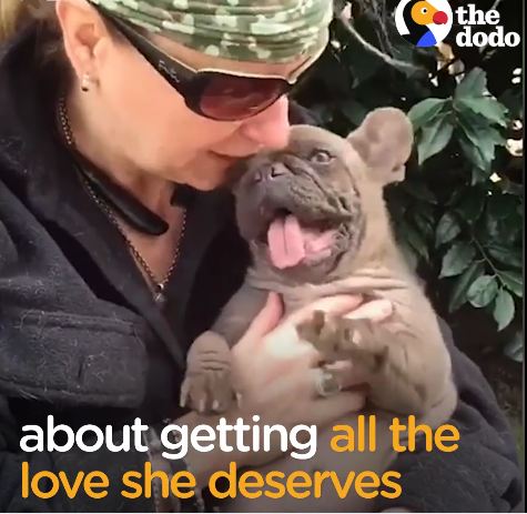 Dog Literally Kept in a Hole in the Ground Finally Gets the Forever Family She Deserves