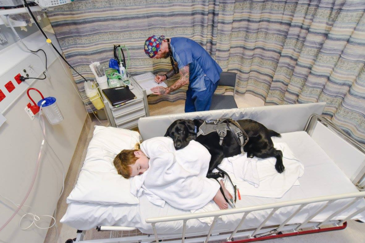 A Touching Moment Between A Boy And His Service Dog