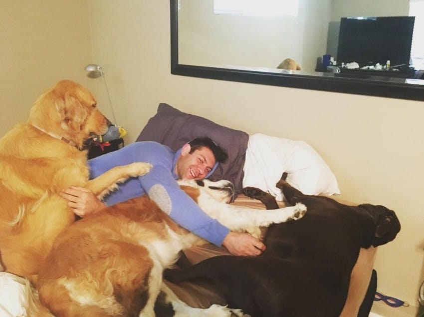 Handsome Guy Can’t Stop Adopting Animals, And Now He Happily Lives With 9 Rescue Pets