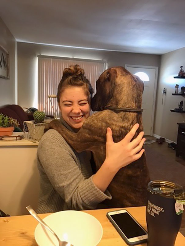 Dog Rescued 1 Year Ago Still Continues To Hug His New Mom Every Day She Comes Back Home