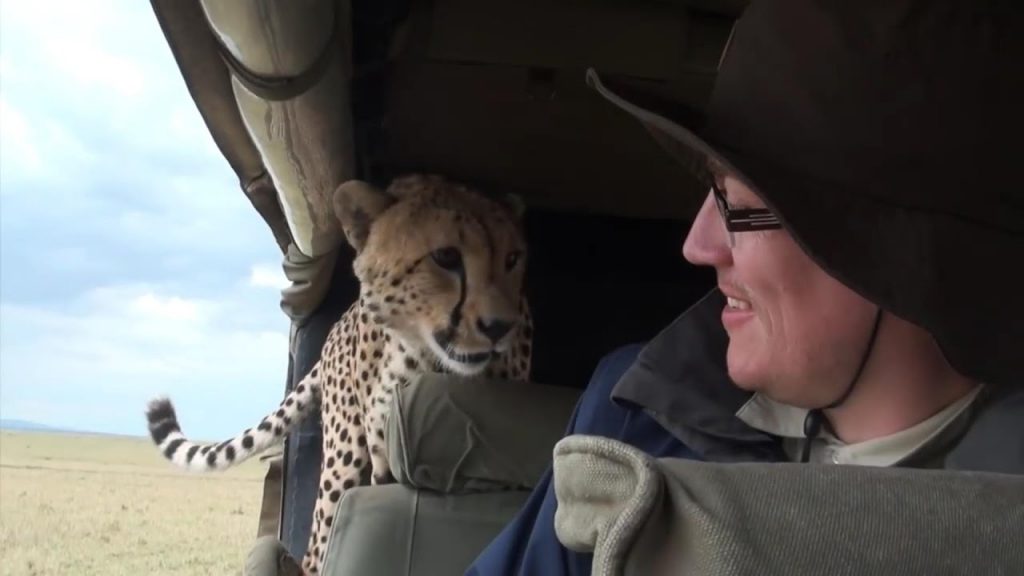 Hey, Join Your Friends On PMG! Unsuspecting tourist turns around to see a surprise co-pilot has joined him on safari