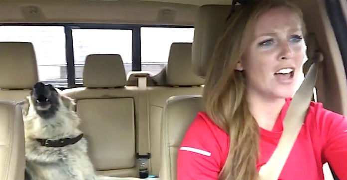 Mom Puts On Some Music In The Car And Starts Recording. Keep Your Eyes On The Dog!