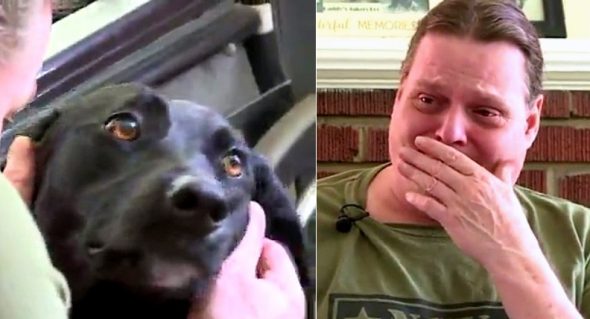 Disabled Man Cries When He’s Surprised With a New Service Dog for Easter