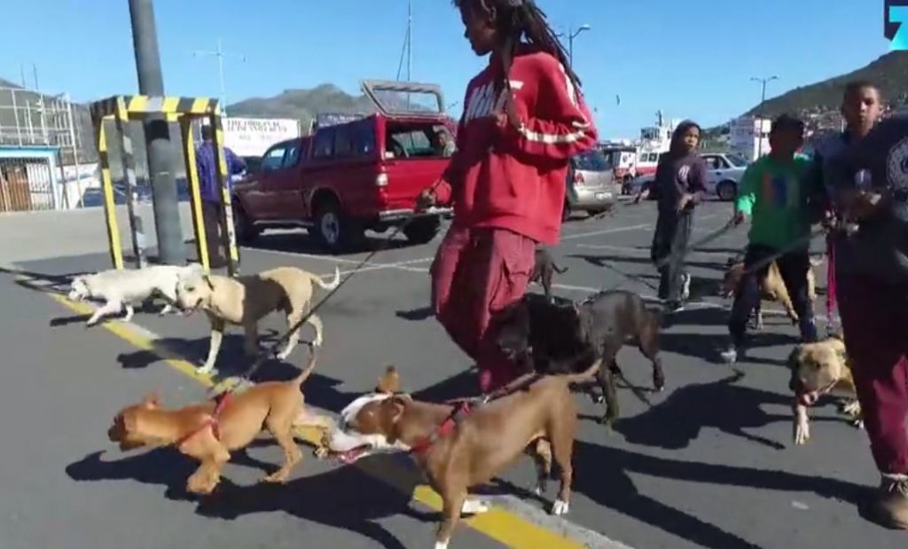 Kicked Out Of The House As A Kid For Helping Animals, He Now Devotes His Entire Life To Them