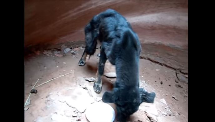 This guy hiked 350 feet down a canyon, and what he saw hit him like nothing before