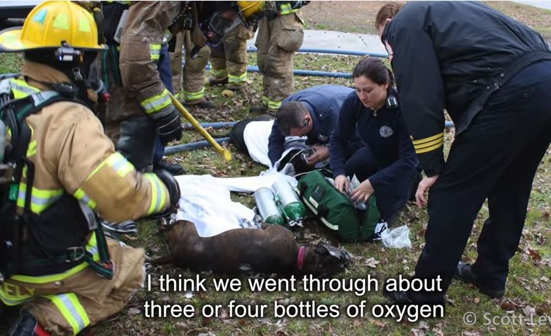 Neighbor yells that there’s another dog in the house. That’s when the firefighter finds her…