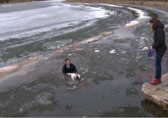 When His Dog Fell Through The Ice, He Didn’t Hesitate To Jump In