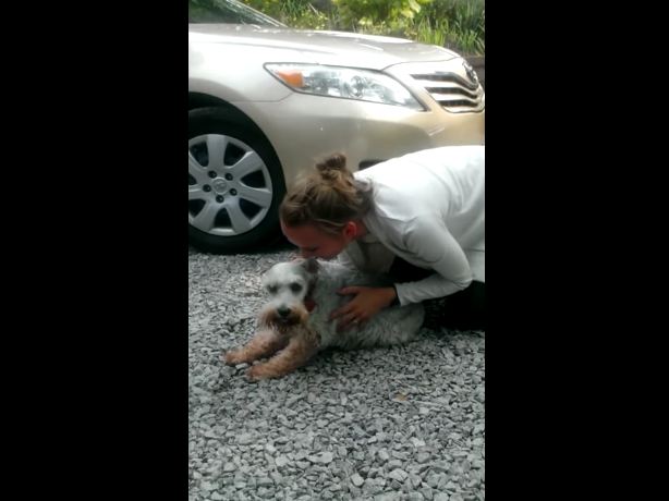 Dog so excited to see owner after 2 years, he passes out on the spot