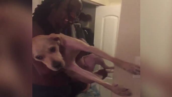 This dog when told it’s time to get a bath… I don’t think I’ve ever seen anything like it!