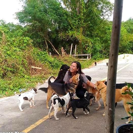 Street Dog Always Brings a Present to the Woman Who Feeds Him