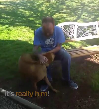 He lost 50 pounds during a 5-week stay in the hospital, now his dog doesn’t recognize him