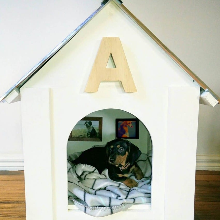 Man Has Leftover Supplies From DIY Project, So He Builds Adorable Dog House For Sister’s Puppy