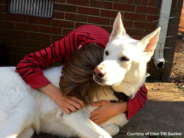 This Boy’s Sweet Reunion With His Best Dog Friend Will Bring You to Tears