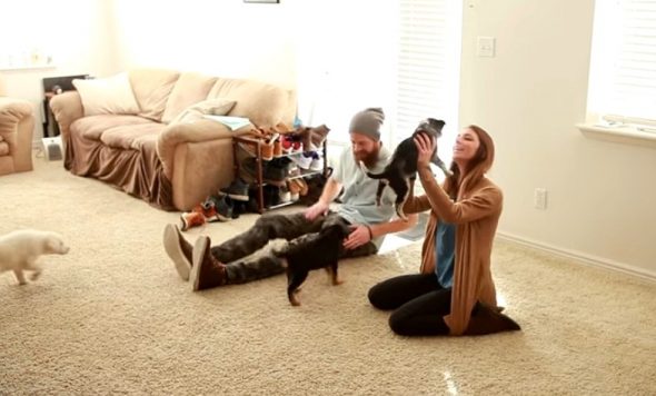 Husband of the Year Surprises His Wife With a Houseful of Rescue Puppies