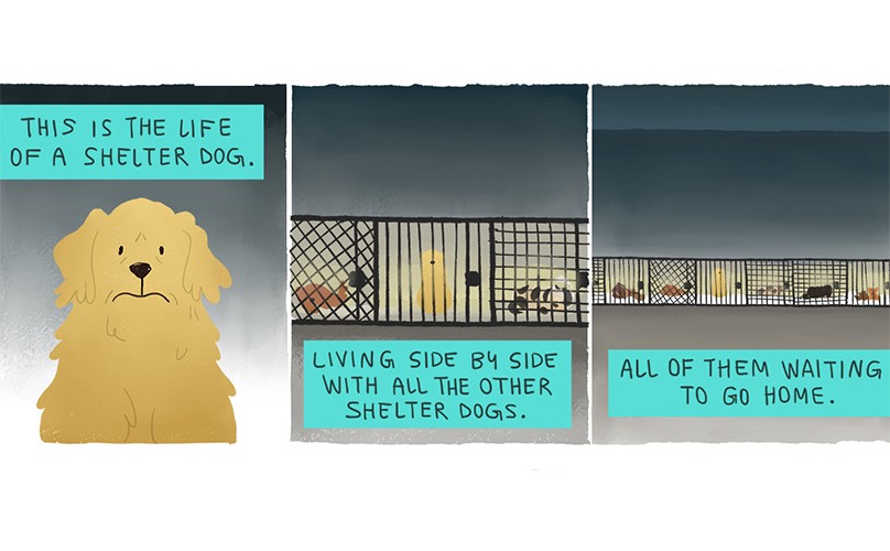 Heartwarming Illustration Of A Shelter Dog’s Life Will Make You Cry Ugly Happy Tears