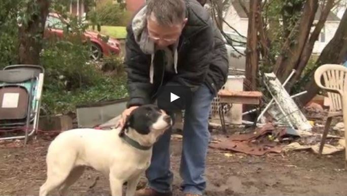 They approach a dog chained up in the rain. Watch her reaction when freed.