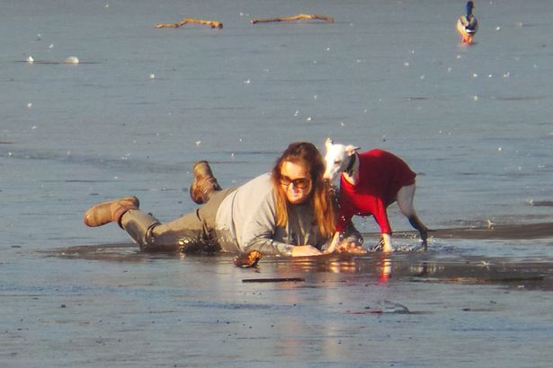 Dog Ran Across Frozen Lake And Fell In, Then His Brave Owner Rushed To His Rescue