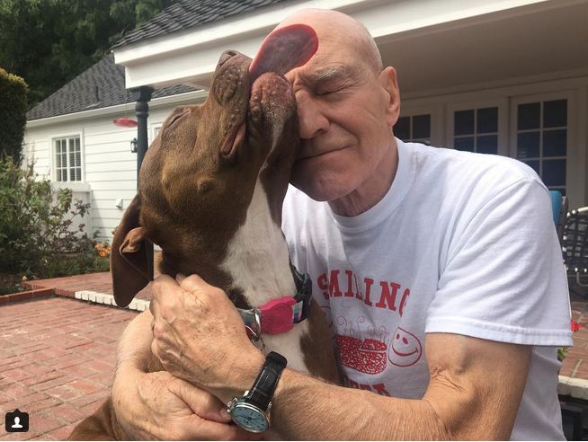 Sir Patrick Stewart’s Love for His Foster Pit Bull Has Inspired Him to #GetTough on Dog Fighting