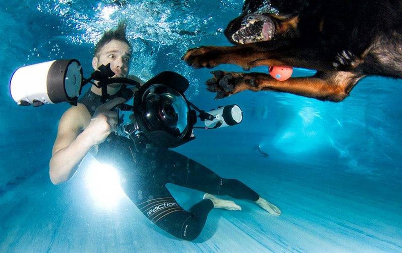 Underwater-Dogs