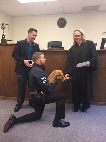 This Police Department Swears In Their Newest Detective: A 13-Week-Old Bloodhound Named Prince