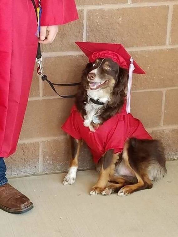 Kid Graduates High School With The Dog Who Saves His Life Every Day