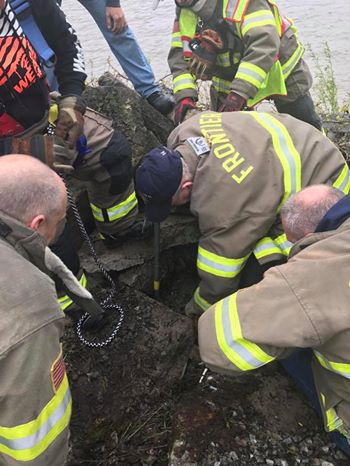 Missing Dog Found Trapped Under Concrete Slabs Near A River After Girls Heard Her Crying For Help