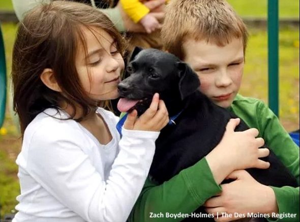Former Stray Dog Becomes a Hero and Saves NINE Children from a Deadly House Fire