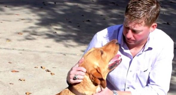 Marine Captain Adopts the Dog He Served With in Afghanistan