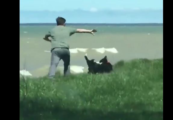 Man’s walking his dog near the water, but the dog doesn’t notice the cliff