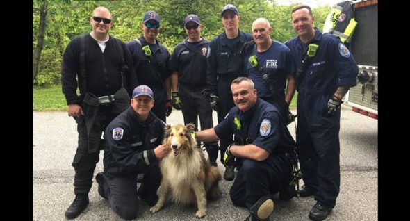 Maryland Firefighters Rescue Dog From Hole