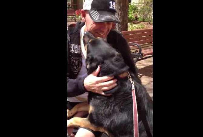 Man Reunites With His Dog After 2 Months Of Cancer Treatment, Then Totally Breaks Down